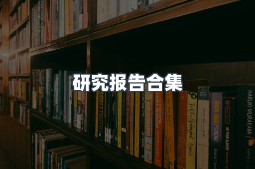 研究报告合集